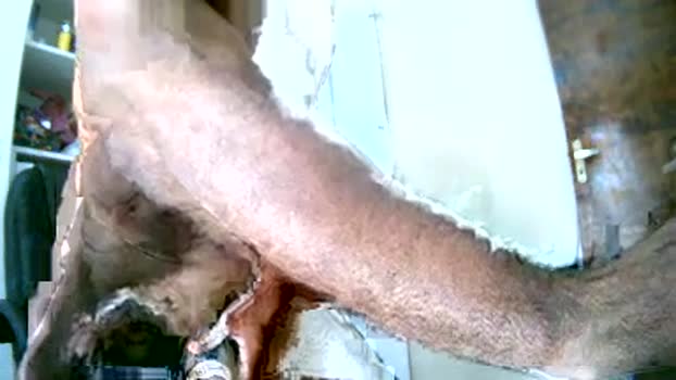 Ton_da_Ka sexykitty Webcam SHOW @ Cam4 02-11-2024