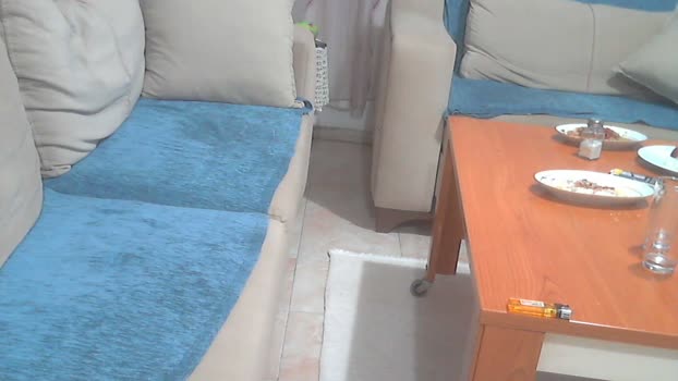 pollen_07 Download Webcam SHOW @ Cam4 02-11-2024