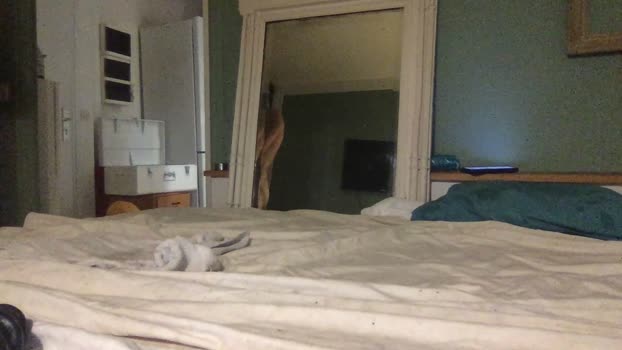hotpigfun fuckass Webcam SHOW @ Cam4 04-11-2024