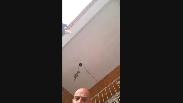 recoblue22cm squirt Webcam SHOW @ Cam4 05-11-2024