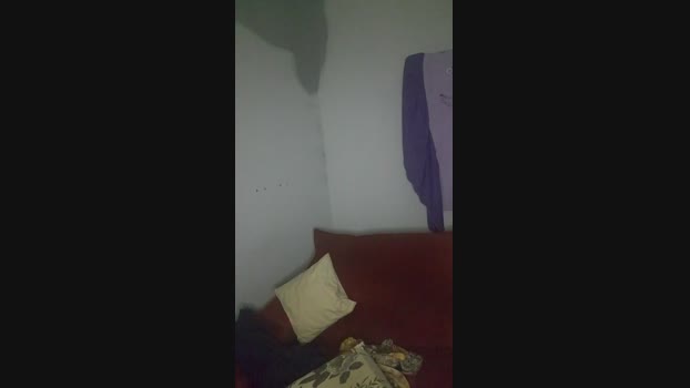 Leo_dot25 oral Webcam SHOW @ Cam4 09-11-2024