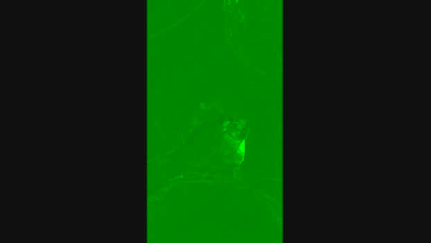 super996999 orgasm Webcam SHOW @ Cam4 12-11-2024