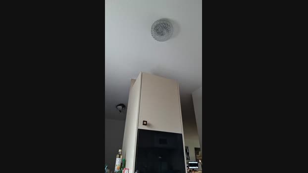 ALPHA_HUNK jerking Webcam SHOW @ Cam4 14-11-2024