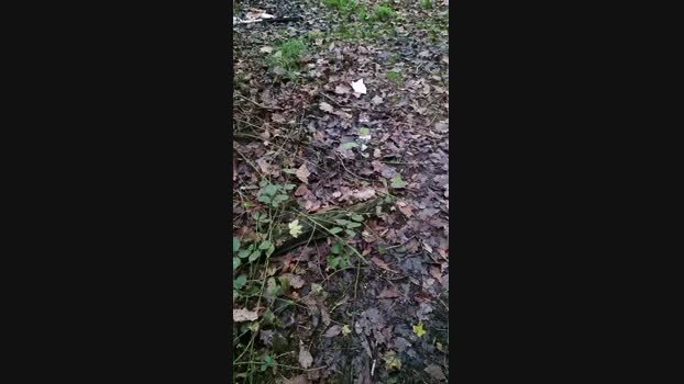 Outdoorgeil1 natural Webcam SHOW @ Cam4 15-11-2024