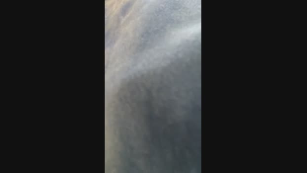 Seloloko deepthroat Webcam SHOW @ Cam4 15-11-2024