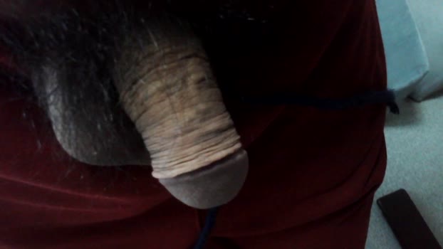 vc_takahashi dirty Webcam SHOW @ Cam4 14-11-2024