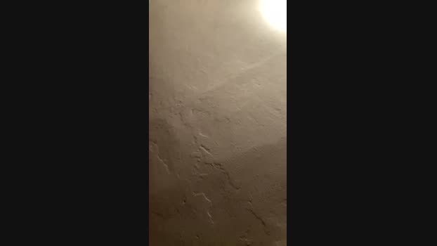 sx123x dirty Webcam SHOW @ Cam4 16-11-2024