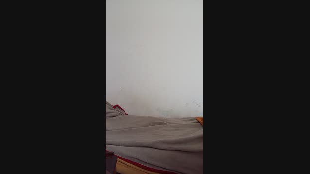 olivos123 Download Webcam SHOW @ Cam4 19-11-2024