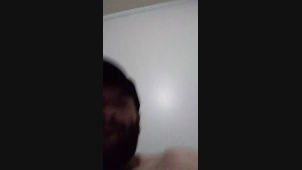 Novinho_sfd26