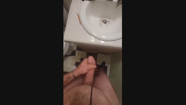 gotthatthang96 sexymale Webcam SHOW @ Cam4 22-11-2024