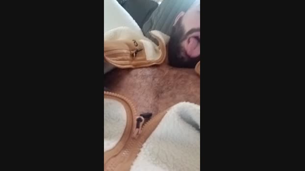 Auvergine Porn Webcam SHOW @ Cam4 23-11-2024