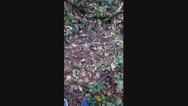 Outdoorgeil1 sexymale Webcam SHOW @ Cam4 24-11-2024