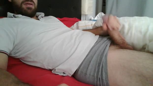Maxi3329 hard Webcam SHOW @ Cam4 26-11-2024