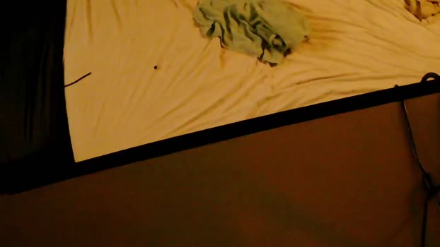 SchagenNH ass Webcam SHOW @ Cam4 25-11-2024