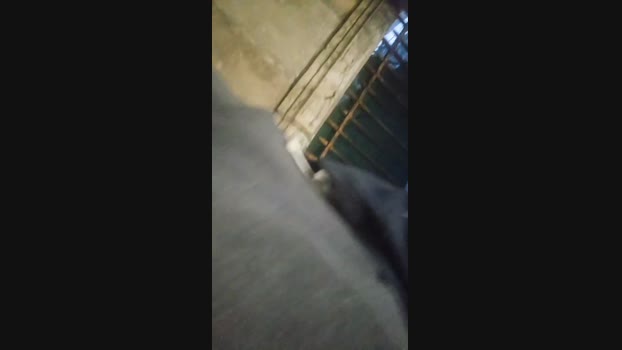 Seloloko amateur Webcam SHOW @ Cam4 26-11-2024