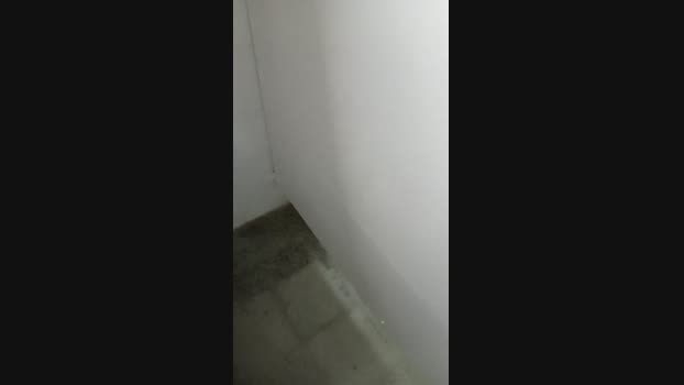 felixm98 blowjob Webcam SHOW @ Cam4 27-11-2024