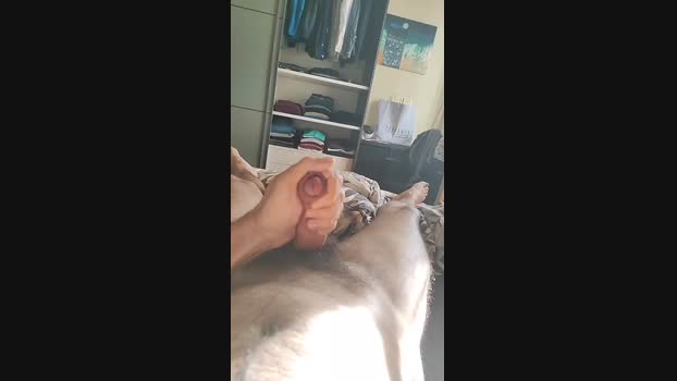 UncutBigCummer fuckhard Webcam SHOW @ Cam4 29-11-2024