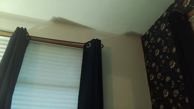 LumberJackStud Video Webcam SHOW @ Cam4 29-11-2024