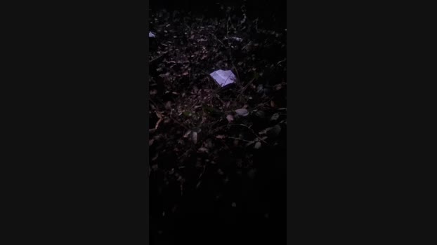 Outdoorgeil1 Ass Webcam SHOW @ Cam4 29-11-2024