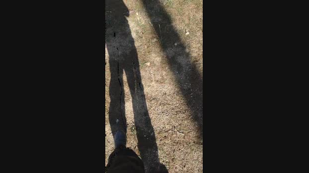 polli_play fuck Webcam SHOW @ Cam4 30-11-2024