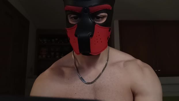 Frabroker toy Webcam SHOW @ Cam4 30-11-2024