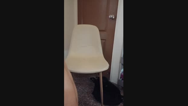 Hungasiancock natural Webcam SHOW @ Cam4 01-12-2024