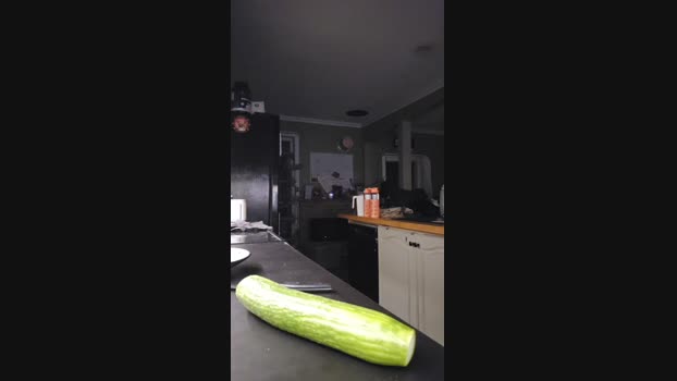4_Fox_sakes fuckhard Webcam SHOW @ Cam4 02-12-2024
