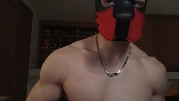 Frabroker toy Webcam SHOW @ Cam4 04-12-2024