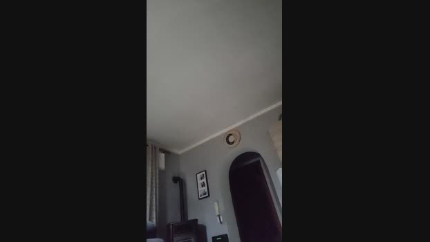 jeurs1 fuckher Webcam SHOW @ Cam4 05-12-2024