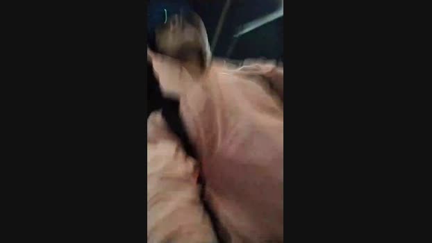 Sexylatinogay jerkoff Webcam SHOW @ Cam4 06-12-2024
