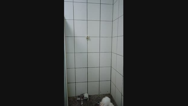 weimeixi Topless Webcam SHOW @ Cam4 07-12-2024