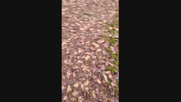 Outdoorgeil1 spanking Webcam SHOW @ Cam4 09-12-2024