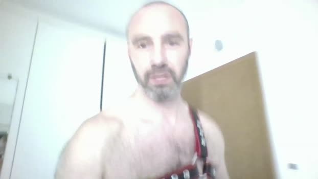 ralfrush naughty Webcam SHOW @ Cam4 09-12-2024