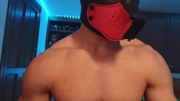 Frabroker beauty Webcam SHOW @ Cam4 10-12-2024