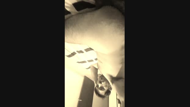 Migueladastl05 bicurious Webcam SHOW @ Cam4 11-12-2024