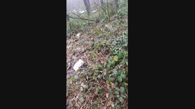 Outdoorgeil1 orgasm Webcam SHOW @ Cam4 12-12-2024