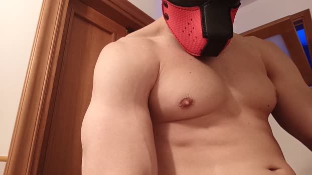 Frabroker XXX Webcam SHOW @ Cam4 13-12-2024