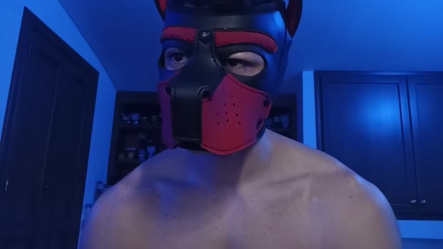 Frabroker XXX Webcam SHOW @ Cam4 13-12-2024