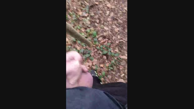 Outdoorgeil1 prettyface Webcam SHOW @ Cam4 15-12-2024