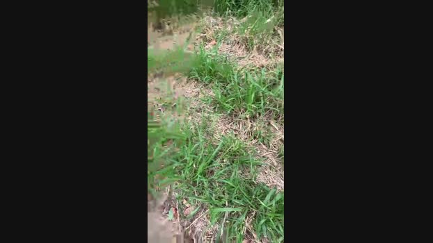 sid_bila fuck Webcam SHOW @ Cam4 14-12-2024
