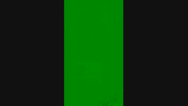nico3184