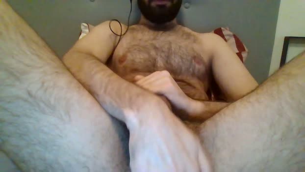 The_hard_bear