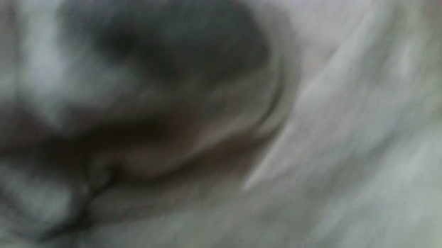 danielbt2 toy Webcam SHOW @ Cam4 18-12-2024