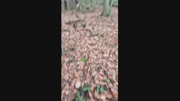 Outdoorgeil1 kiss Webcam SHOW @ Cam4 20-12-2024