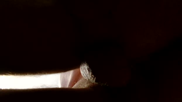 2MecBiChos bigass Webcam SHOW @ Cam4 21-12-2024