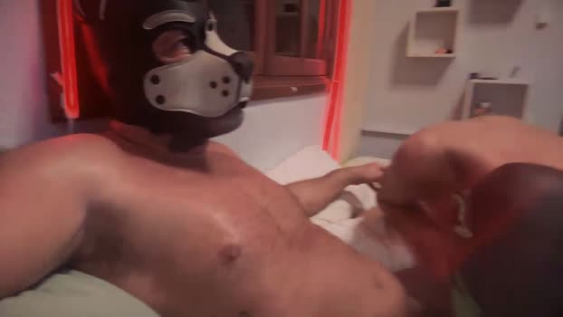 sertor1 fuckface Webcam SHOW @ Cam4 20-12-2024