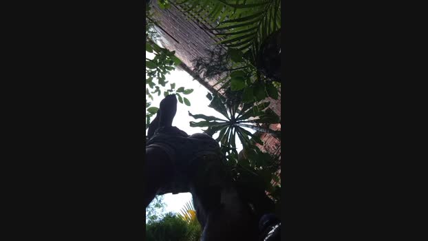 Sexylatinogay bigdick Webcam SHOW @ Cam4 29-12-2024