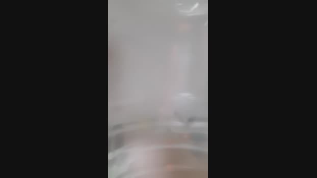 Zeromunchen jerkoff Webcam SHOW @ Cam4 29-12-2024
