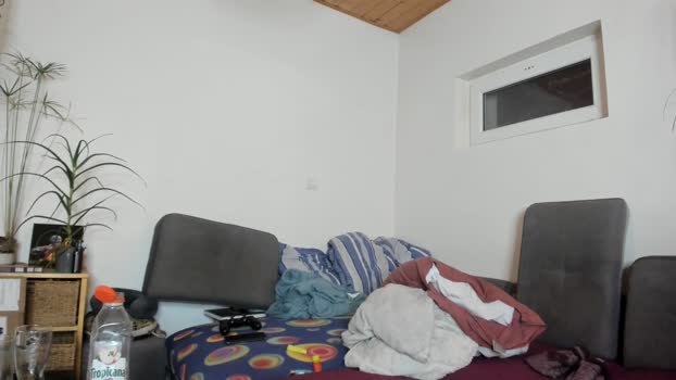 toyboy003 sweet Webcam SHOW @ Cam4 29-12-2024