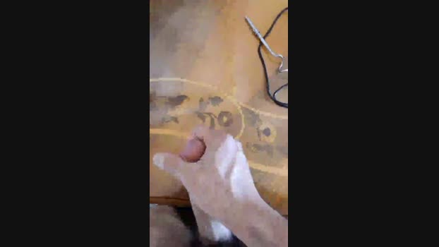 albaniacaserta4 sexykitty Webcam SHOW @ Cam4 01-01-2025